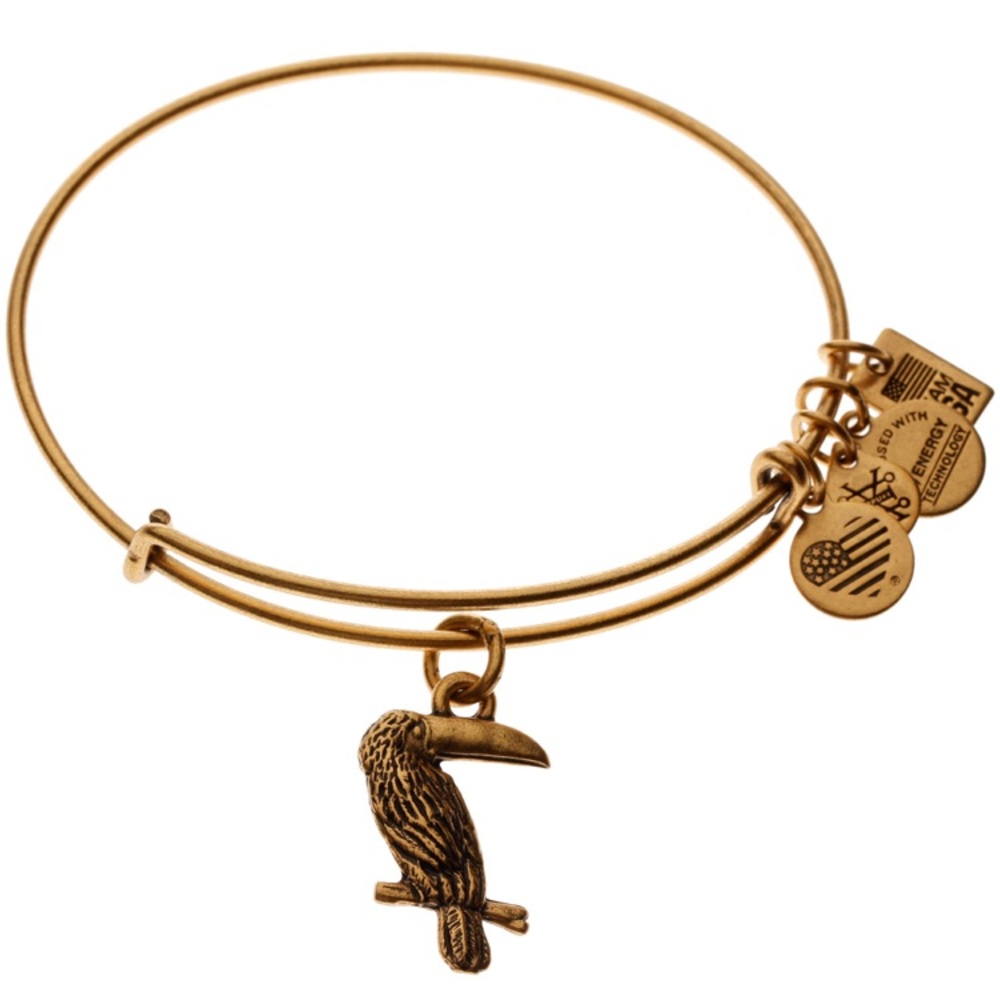Team USA Alex and Ani Toucan Gold bracelet